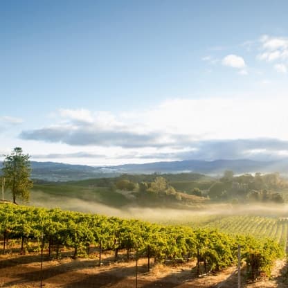 Sonoma County