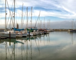 Marina Green with sailboats docked