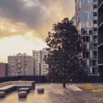 rooftop terrace at sunset